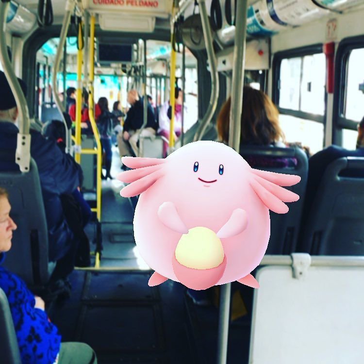 Imagen de @aarosenberg.